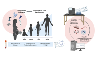 Kupsco lab diagram showing the impacts of environmental pollutants on child development